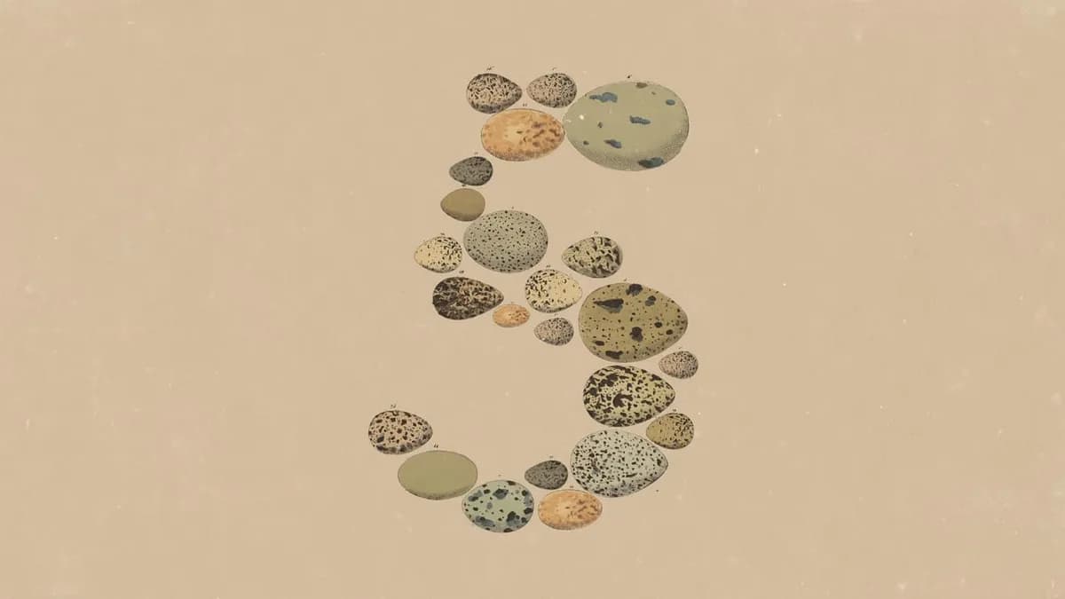 Anthropic lanza Opus 5 — su cuarto modelo en menos de dos meses (demo placeholder)